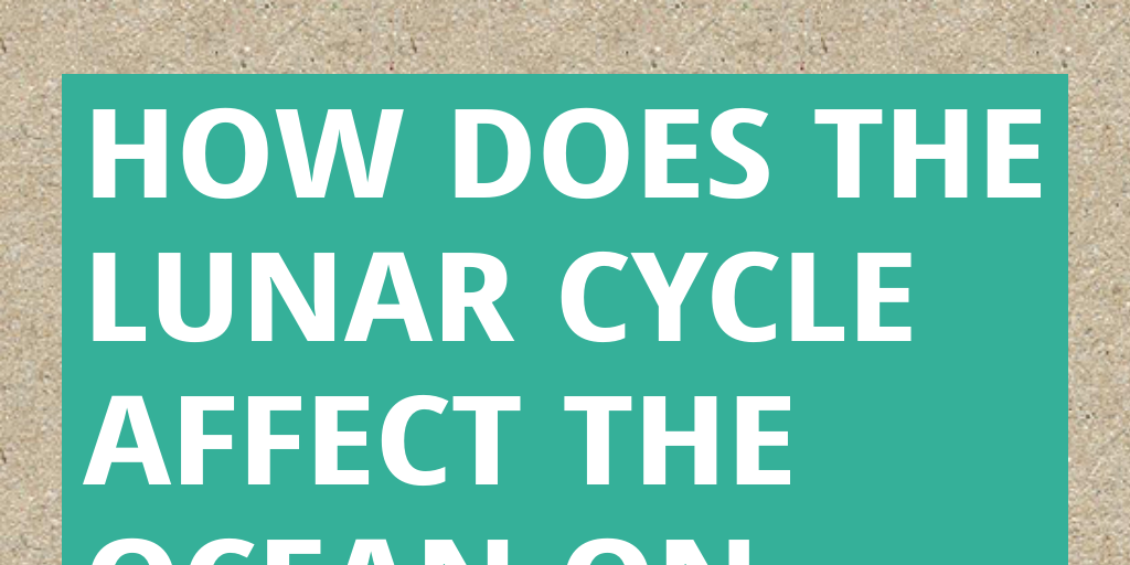 How Long Does The Lunar Cycle Take To Complete
